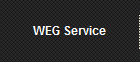 WEG Service